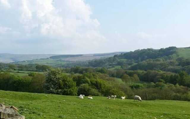 Wenning Bank