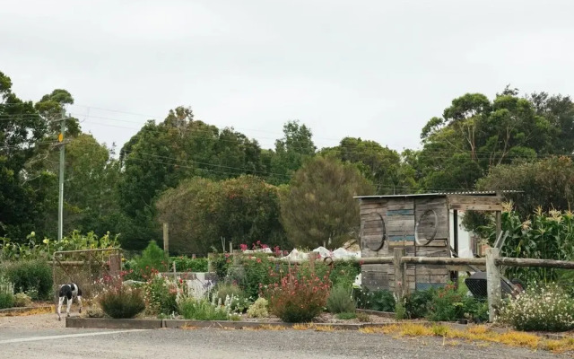 Cupitt's Estate