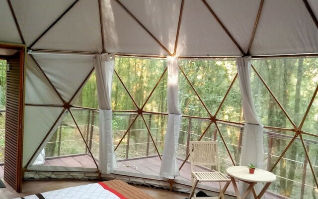 Glamping Don Delfis