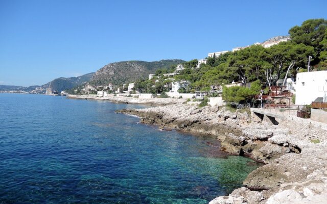 Monte Carlo Bordering
