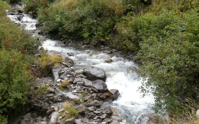 Le Cristal Mandragore