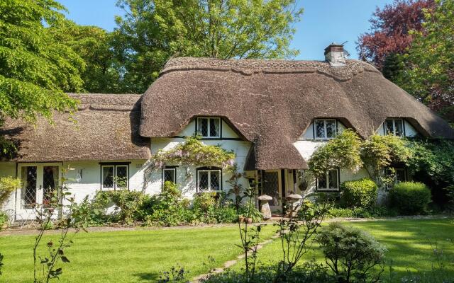 Thatched Eaves