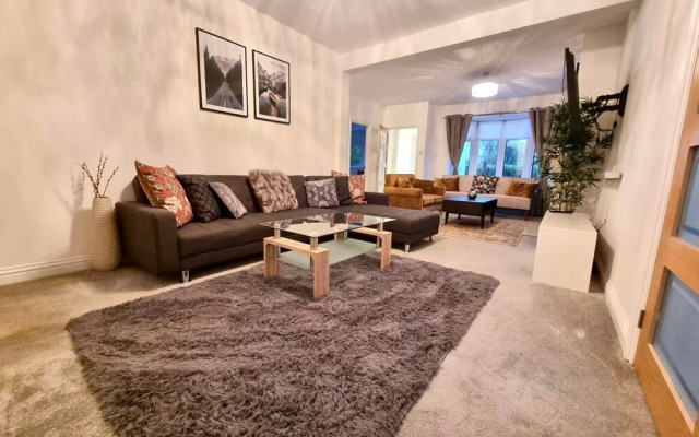 The Birchwood Pad by Kasar Stays