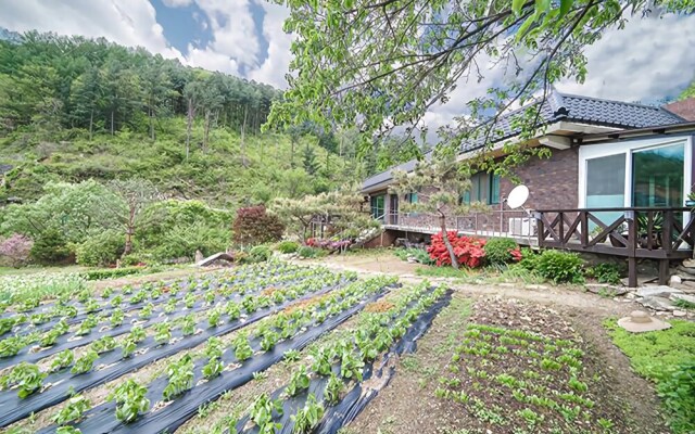 Gapyeong Sanneoul Pension