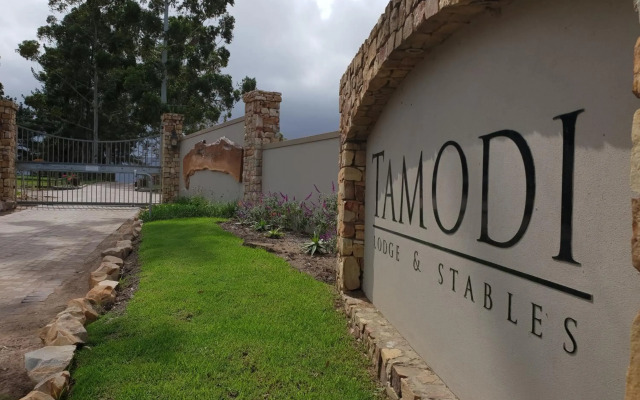 Tamodi Lodge and Stables