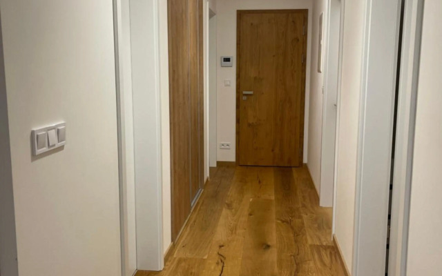 Wellness apartmán Pila Kvilda