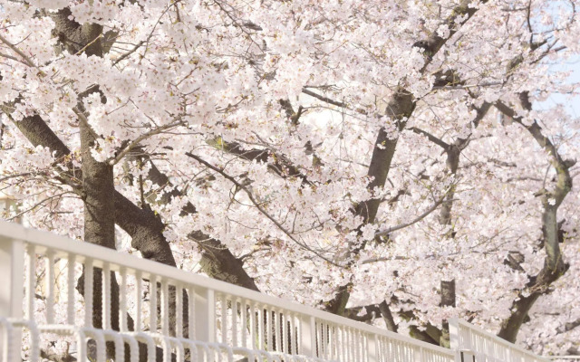 Hostel Mitsuwaya Osaka