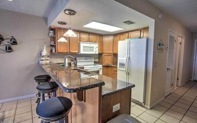 Sunbird Paradise - 1383972