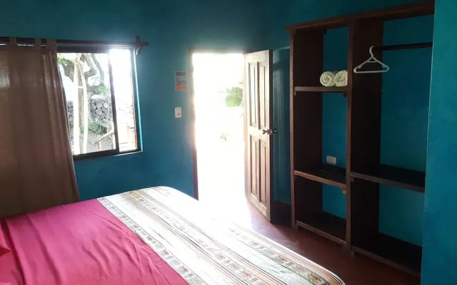 Galapagos Morning Glory