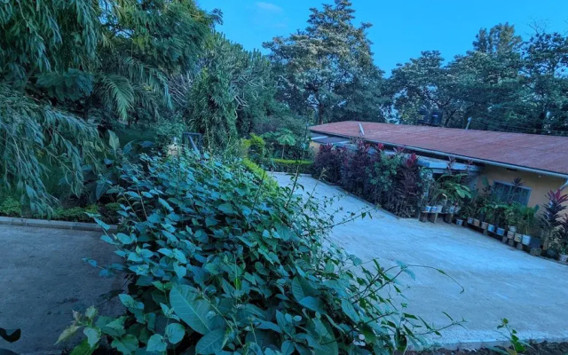 jacaranda homestay