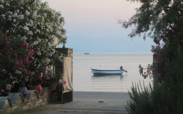 PLATANOFYLLA Pelion Apartment No11