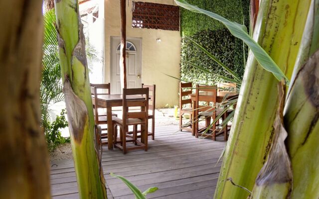 hotel stella maris tulum