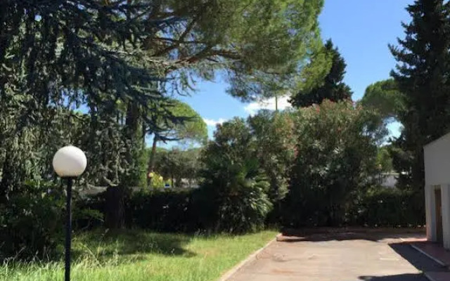 ACisanello