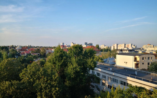 STUDIO Piata Victoriei (Victoriei Square)