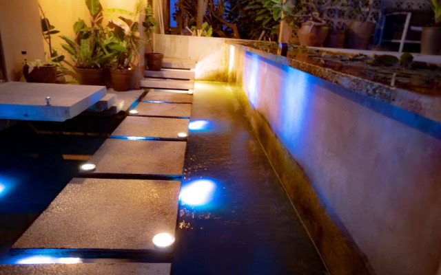 Kouriisland hotel cava