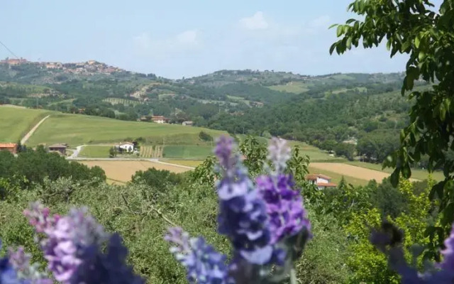 La Noce