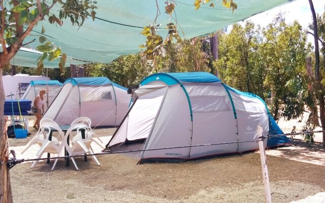 Camping la Naranja