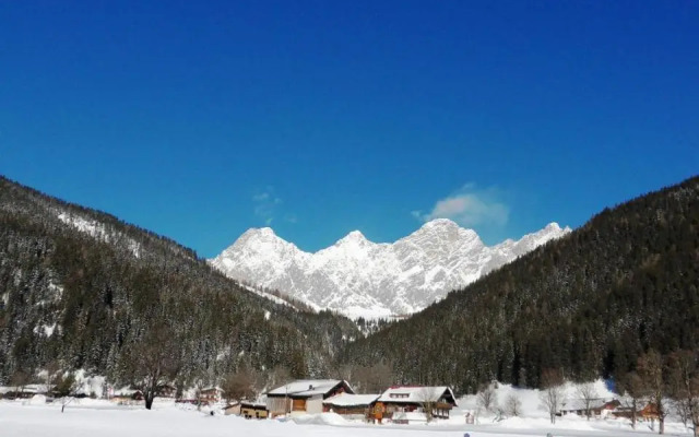 Sattlehnerhof