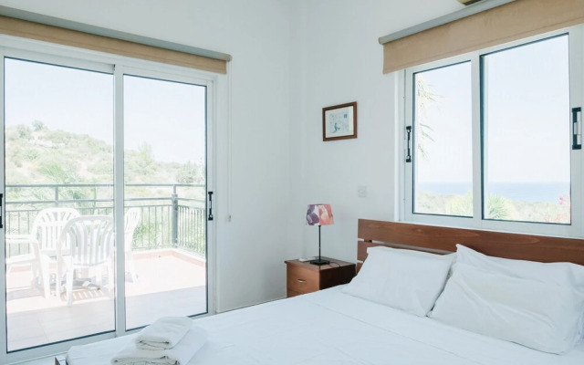 Chrysanthemum Villa