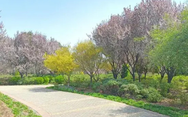 Zhongzhou Elegant Hotel（Luoyang Tianxiang Peony Garden Airport Branch）