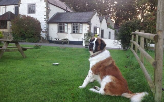 Winyard's Gap Inn