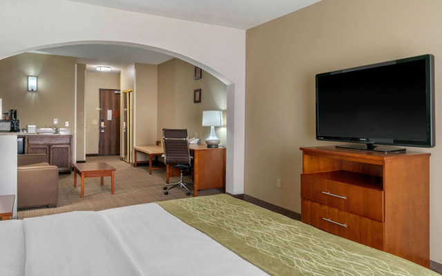 Comfort Inn & Suites Sacramento - University Area
