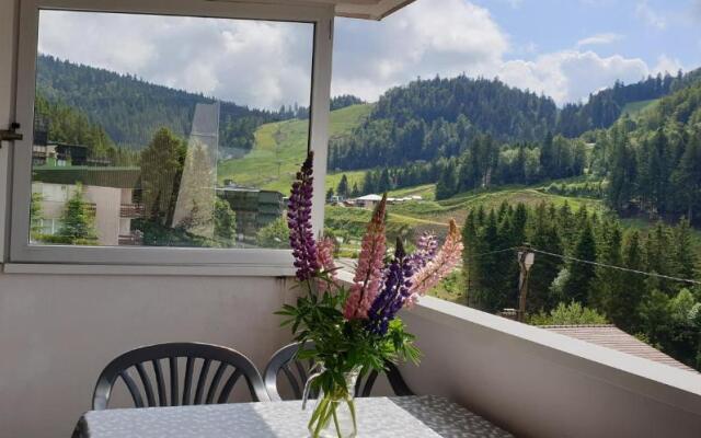 Appartement Les Oursons La Bresse