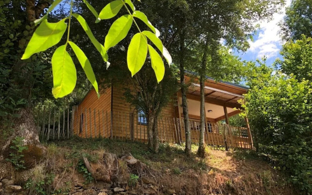 Chalets Bois Moulin de Chaules