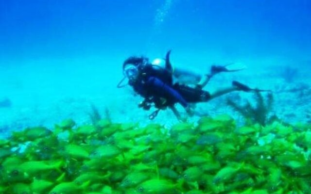 Hotel y Centro de Buceo Sirius