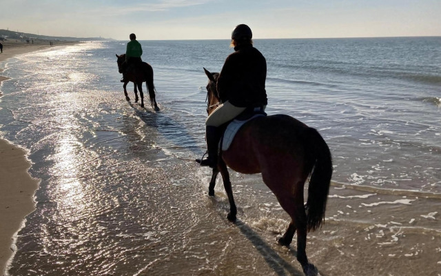 Näher am Wasser kann man nicht wohnen!