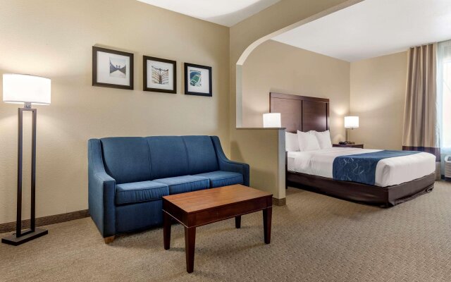 Comfort Suites Waco Near University Area