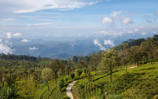 Vantage hills Haputale