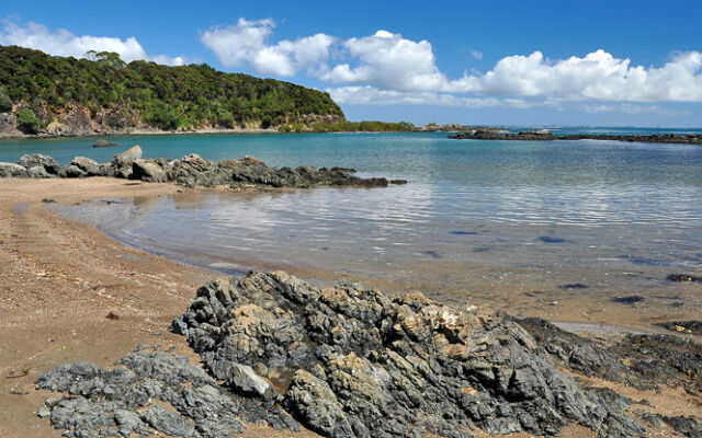 Sanctuary in the Cove