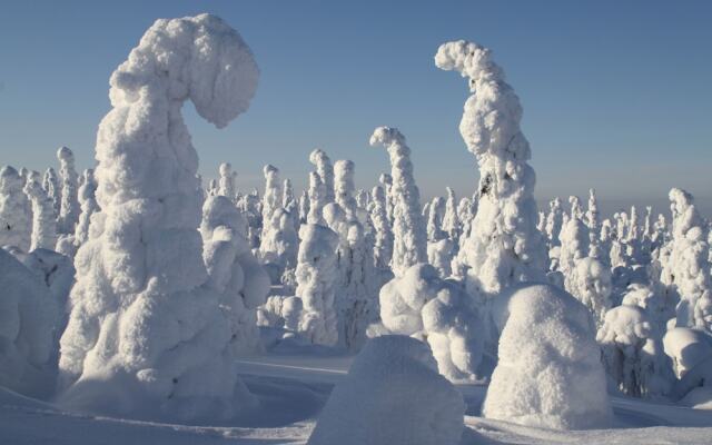 Vanhan Karhun apartments