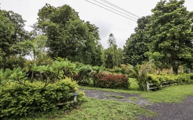 NIDA Rooms Ban That Central 370