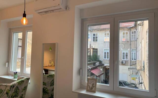 Studio apartment in center of Zagreb "Vidra"