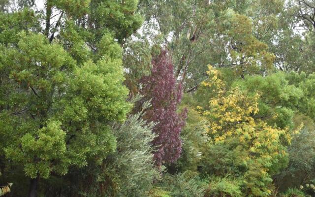 Sanctuary House Healesville Motel