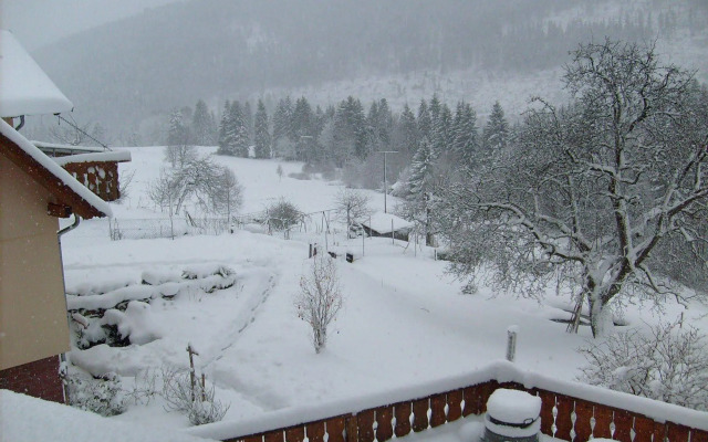 Schwarzwaldhotel-Gasthof Hirsch