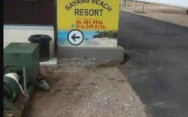 Sayang Beach Resort