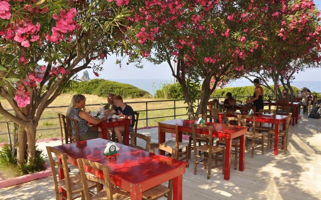 The Pink Palace Hotel & Hostel