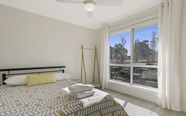 The Friendly Pelican