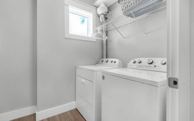 Pelican at Sound Side