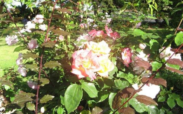 Westella Colonial B&B