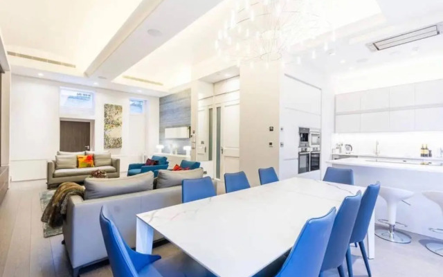 Superb Apartment near Buckingham Palace