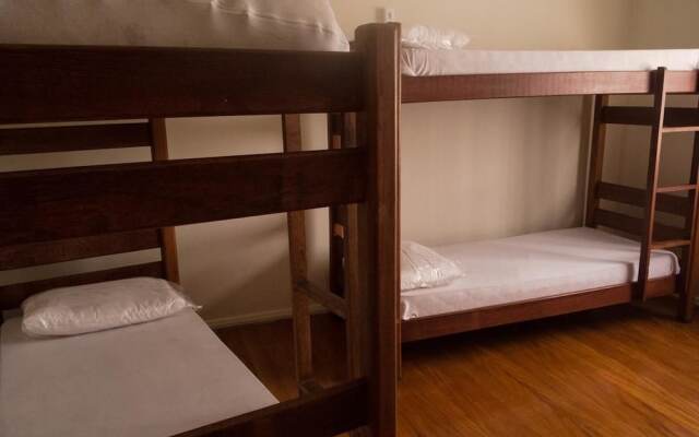 The Backpacker Cat Hostel