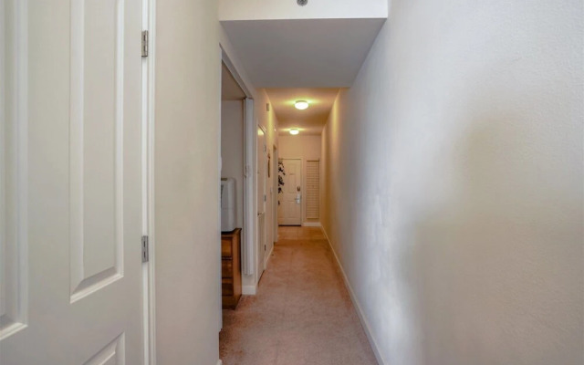 Shores Of Panama 809