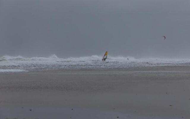 Boszicht 6 aan de Kust