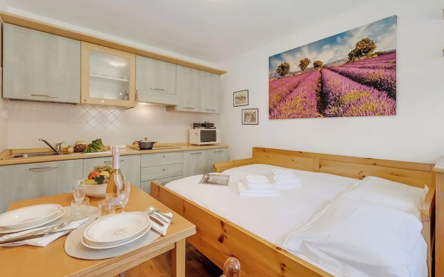 Hermitage Studio - close to ski pistes