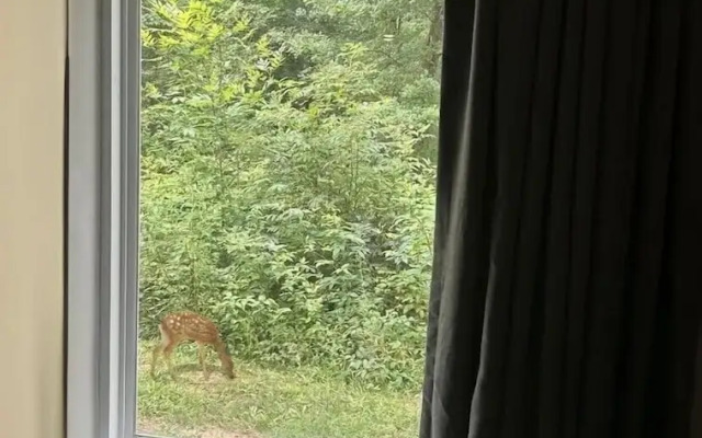 Savannah Suites Atlanta Airport