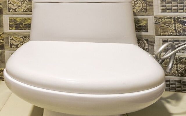 OYO Flagship 60926 HOTEL SANJAY PALACE